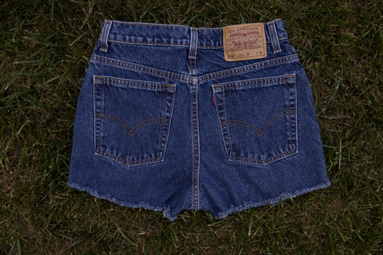 High Waisted Levi Shorts