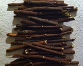 FRESH Neem Tree Chew Sticks