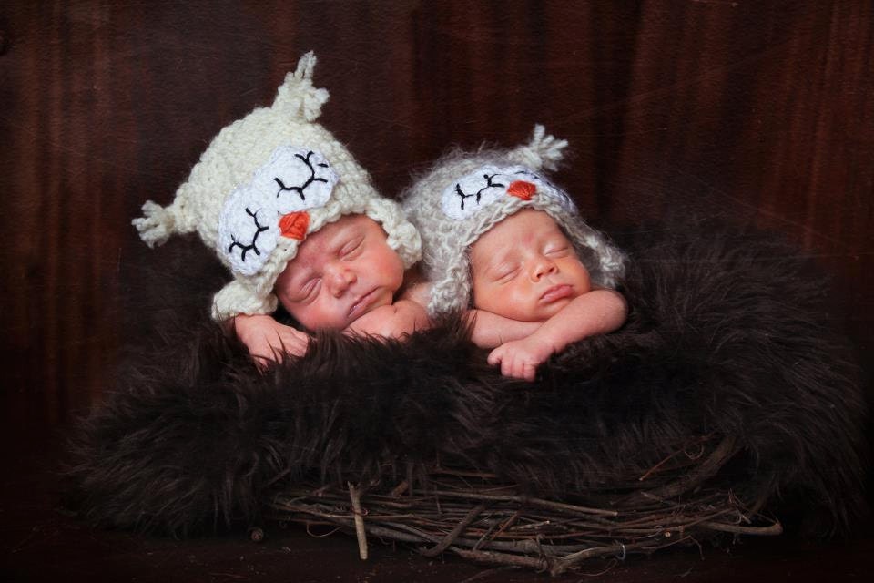 Twins WHOO'S CUTER: Baby Newborn Twin owls