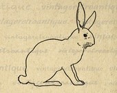 Bunny Rabbit Digital Image Download Collage Sheet Animal Artwork Spring Printable Graphic for Transfers etc HQ 300dpi No.3708