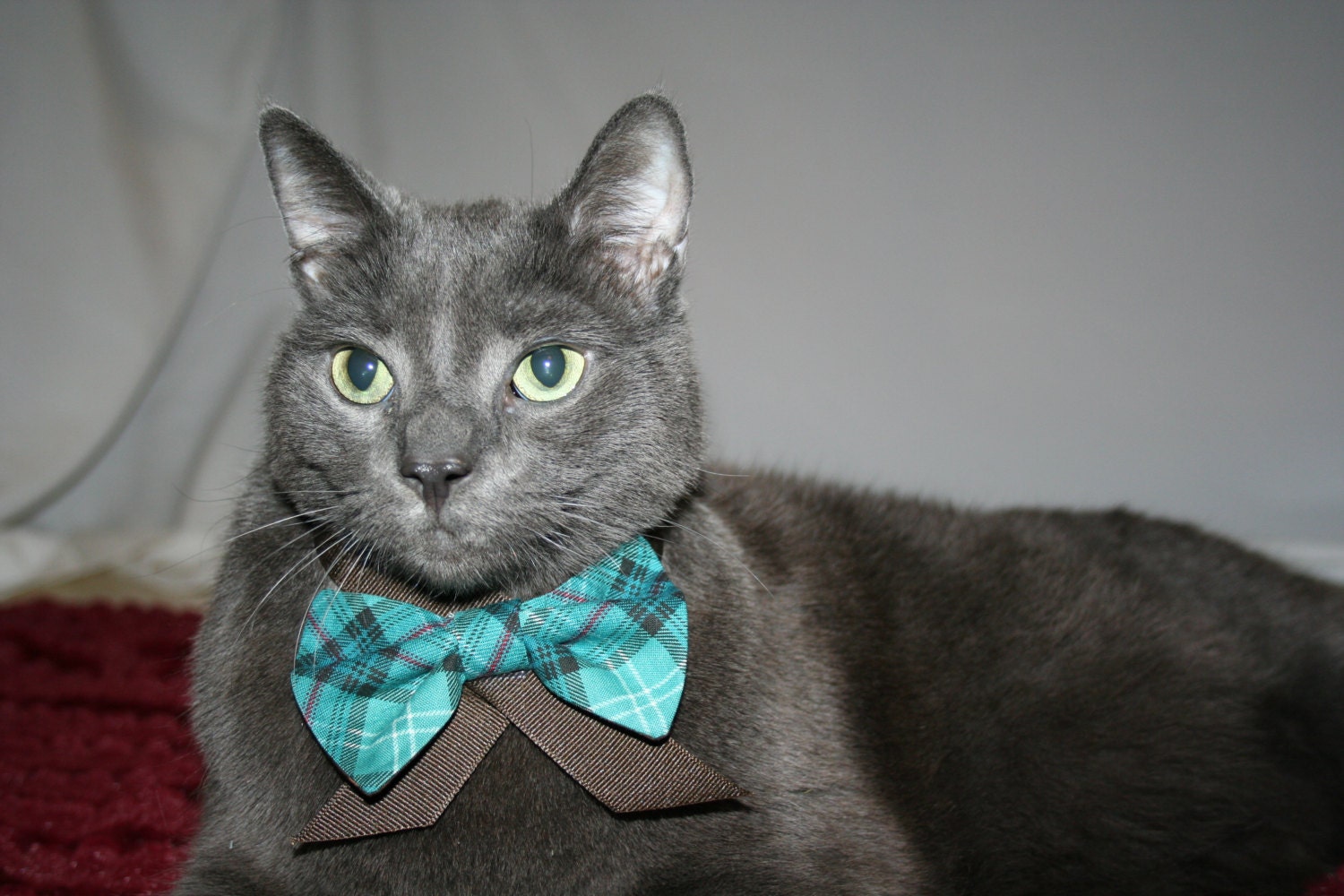 Modern Plaid Bow Tie