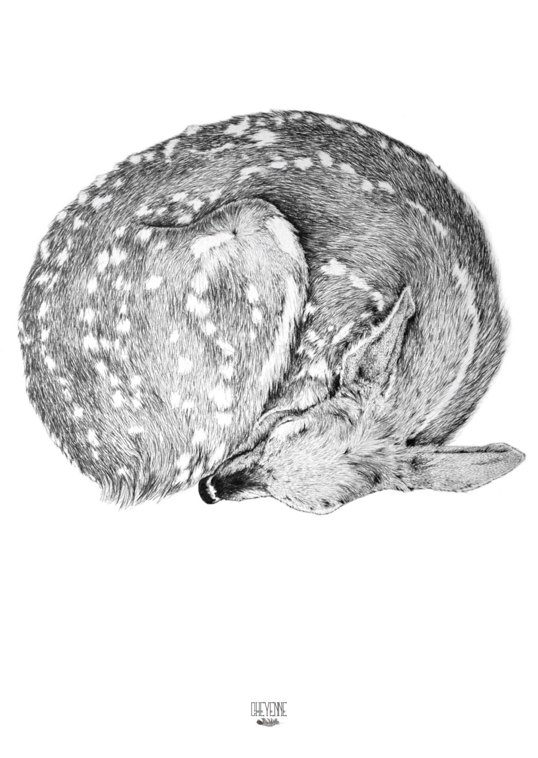 Illustration card - deer - Cheyenne