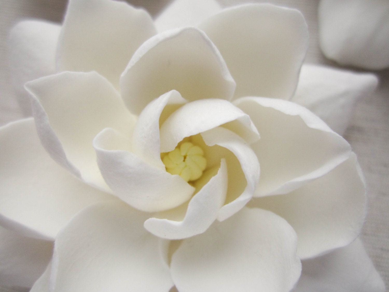 Hair clip polymer clay flower for wedding. White Gardenia on alligator clip.
