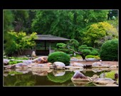 5x7 Fine Art Print, Japanese Themed Garden