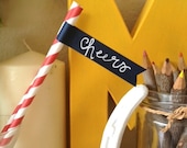 Striped Straws & Calligraphy Flags