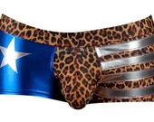 Boxer men American Flag