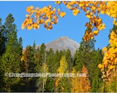 Breckenridge, Colorado, fall colors, aspens, landscape photo, 11x14, unframed, unmatted