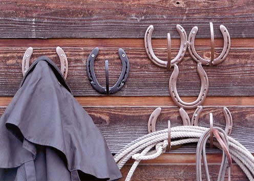 Handcrafted Horseshoe Coat/Hat Racks