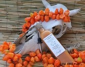 Orange Habanero Hot Sauce Competition Reserve 009-100 Limited Edition 16oz. from Ledyard Bar B Que Company  Chili Heads Will Love This Sauce