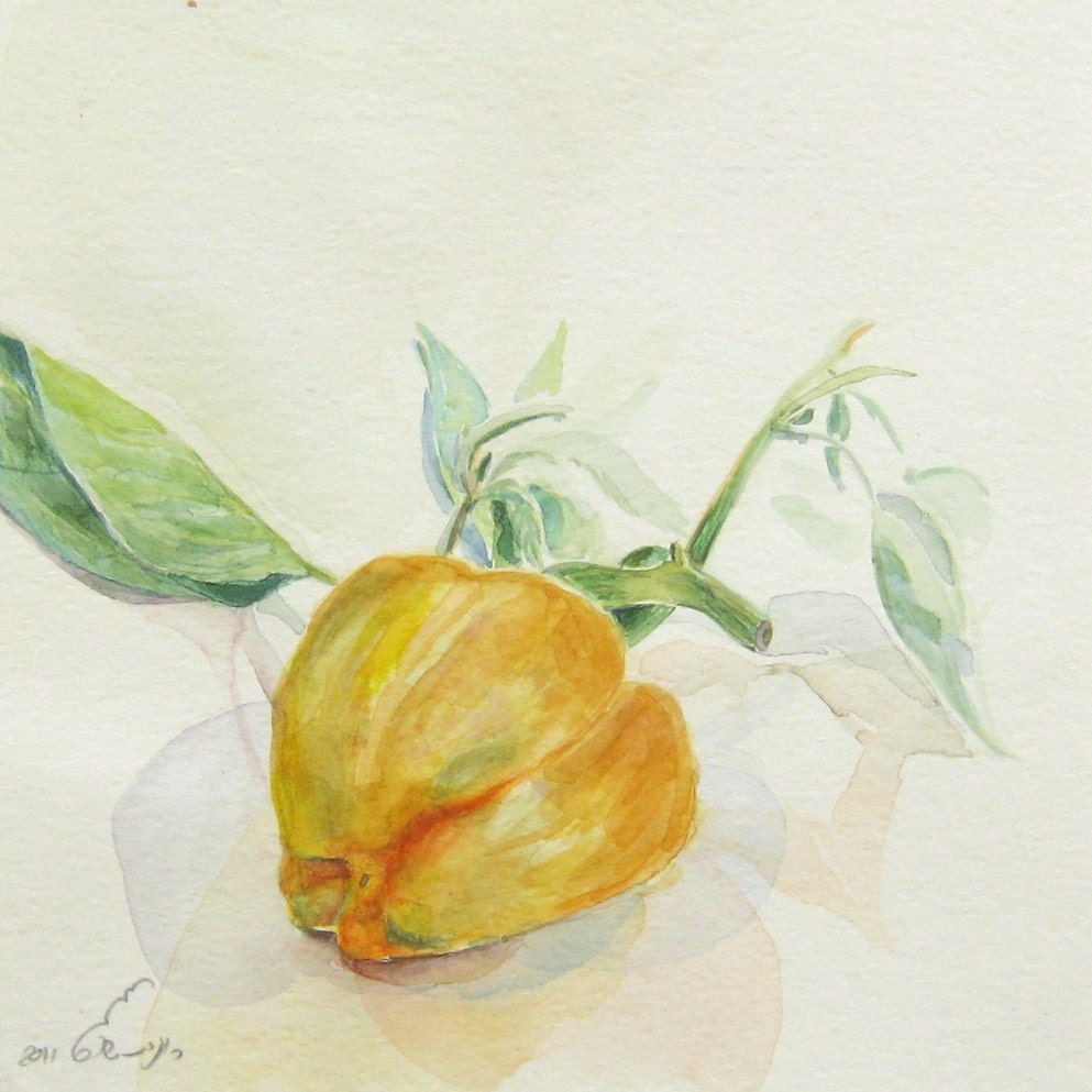 Pepper Still Life Watercolor Painting  Garden print  Square orange  vegetable