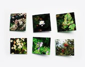 Blank Note Cards - Blank 2x2 Mini Cards, Handmade Photography Note Cards, Gift Tag Cards, Thank You Cards - Spring Flower Cards, Set of 6