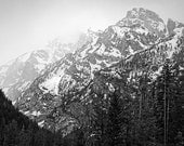 Black and White Photography, Nature Photography - mountains winter landscape photo Grand Tetons pine trees forest snow print 8x10 Photograph