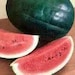 12 Georgia Rattlesnake Heirloom Watermelon Seeds