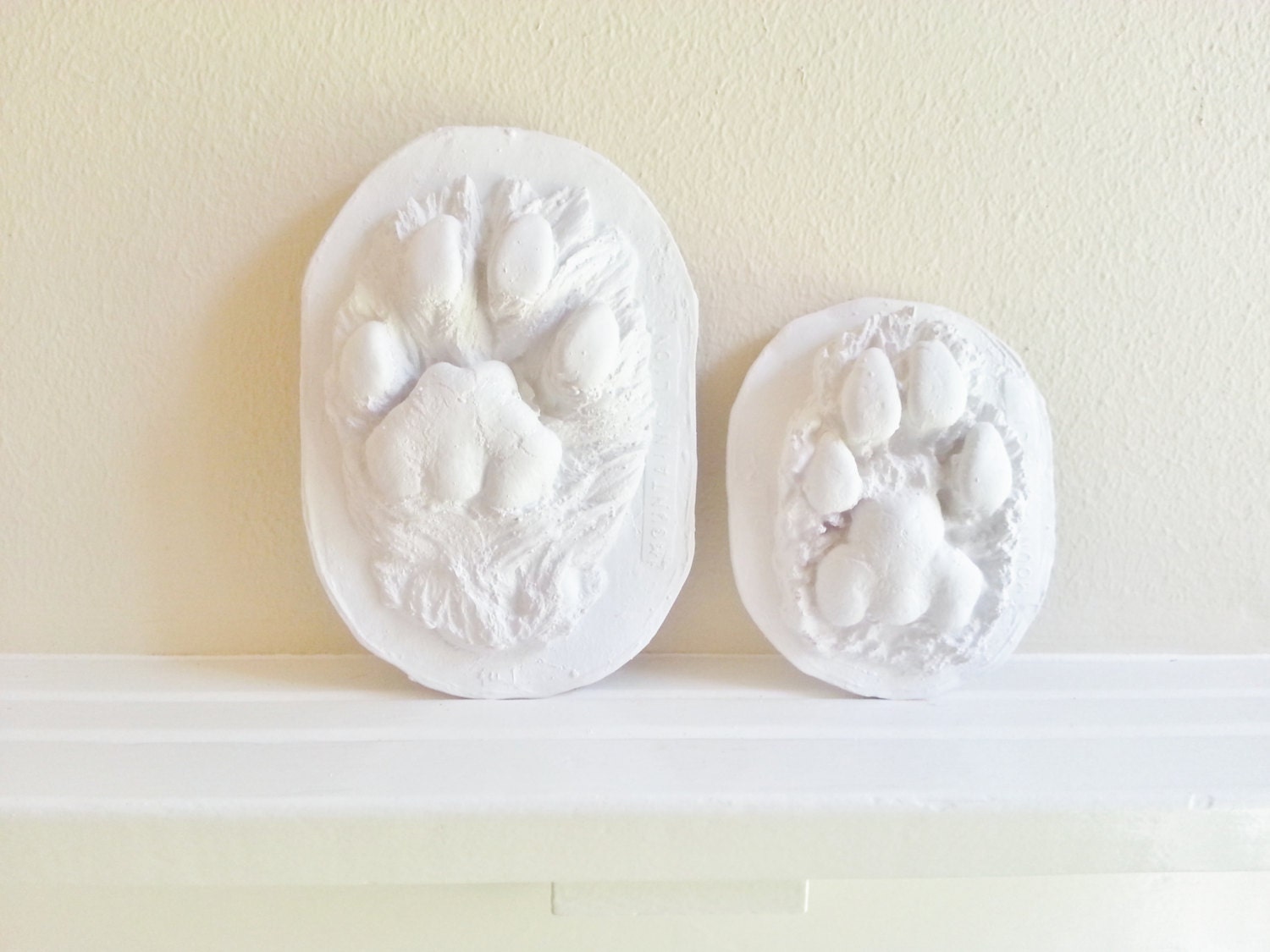 Mountain Lion Paw Prints, Cougar Prints, Woodland art for Dad, wall hanging sculpture, animal casting