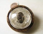 Resin and Wood Necklace Jewelry Pendant with Miniature Pine Cone and Eulalia Grass