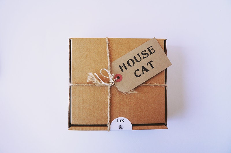 Handmade cat toys // knit gray mouse, felted jingle ball, cat treats // House Cat Box