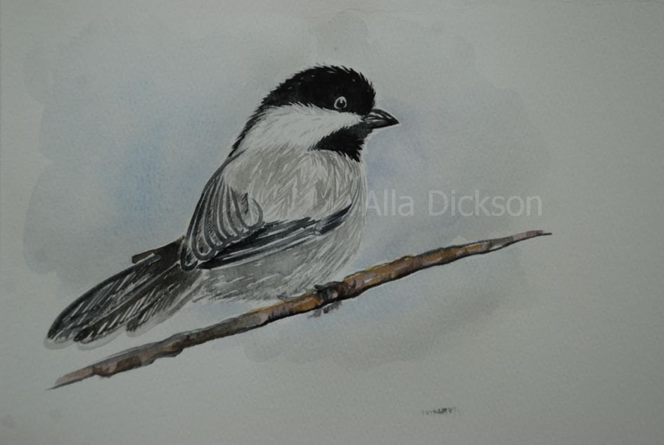 Art print 8x10 of my original watercolor painting "Curious" wall decor greeting card bird grey black white