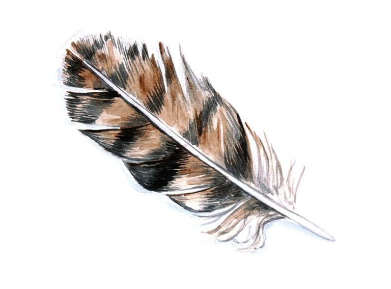 Watercolor Feather - MundoMeo