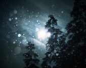 First Snow - 5"x7" Color Photograph, Winter, Snow, Fine Art Print