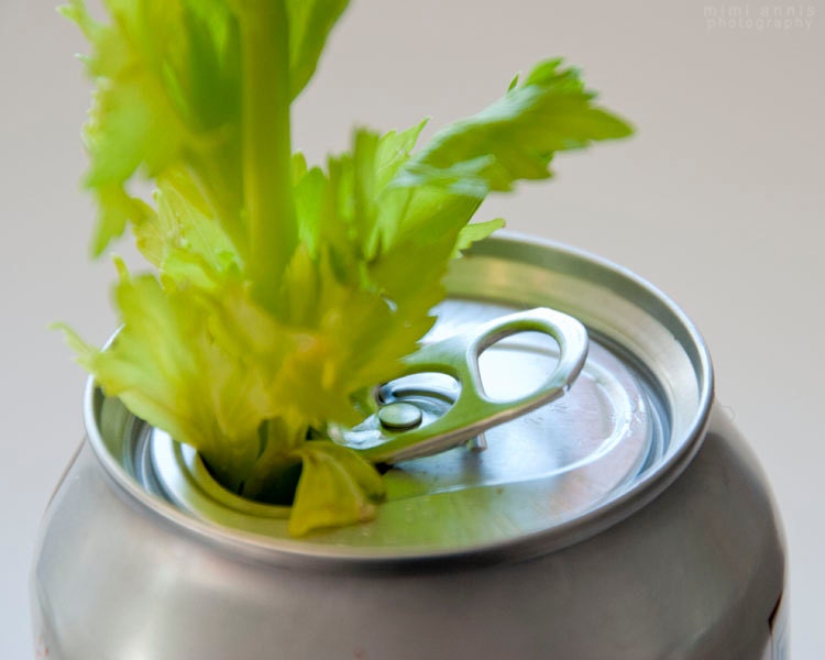 Celery Soda Photograph, Fine Art  Print, 8x10, Food Photography, Witty Kitchen Decor, Still Life