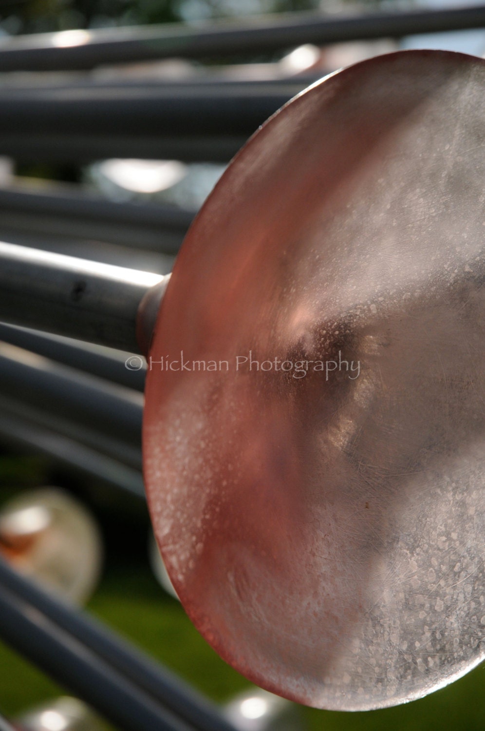 Sculpture  - Fine Art Photography  - Nature - Home Office Decor - 8 X 12