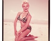 Sheree North, print from original transparency film