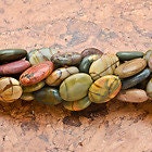 Natural Picasso Jasper Flat Oval Beads