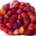 Merino Nylon combed top 'Zinnias'