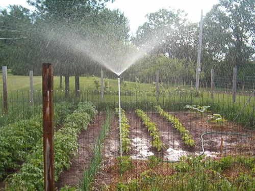 Home Made Sprinkler Lawn and Garden Sprinkler    "WORKS LIKE RAIN"  Sod Seed Greenhouse