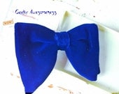 Wonderful vintage blue bow tie in case - crowslife
