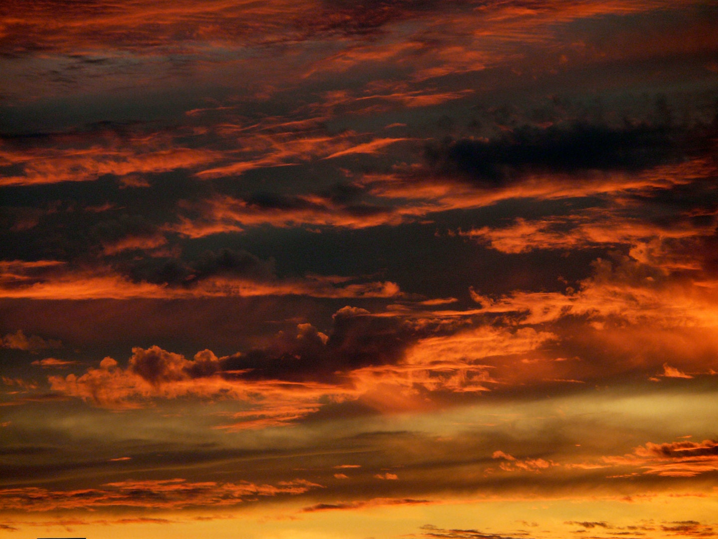 Sunset Sky Photograph 12"x16" Framed Fine Art Nature Gloss Giclee Print Goth Romantic Blood Red Color
