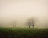 Nature Photography, Germany, Fine Art Photo Print, 8x12, "Fog", textured, trees, quiet, green, lush, Travel, Landscape