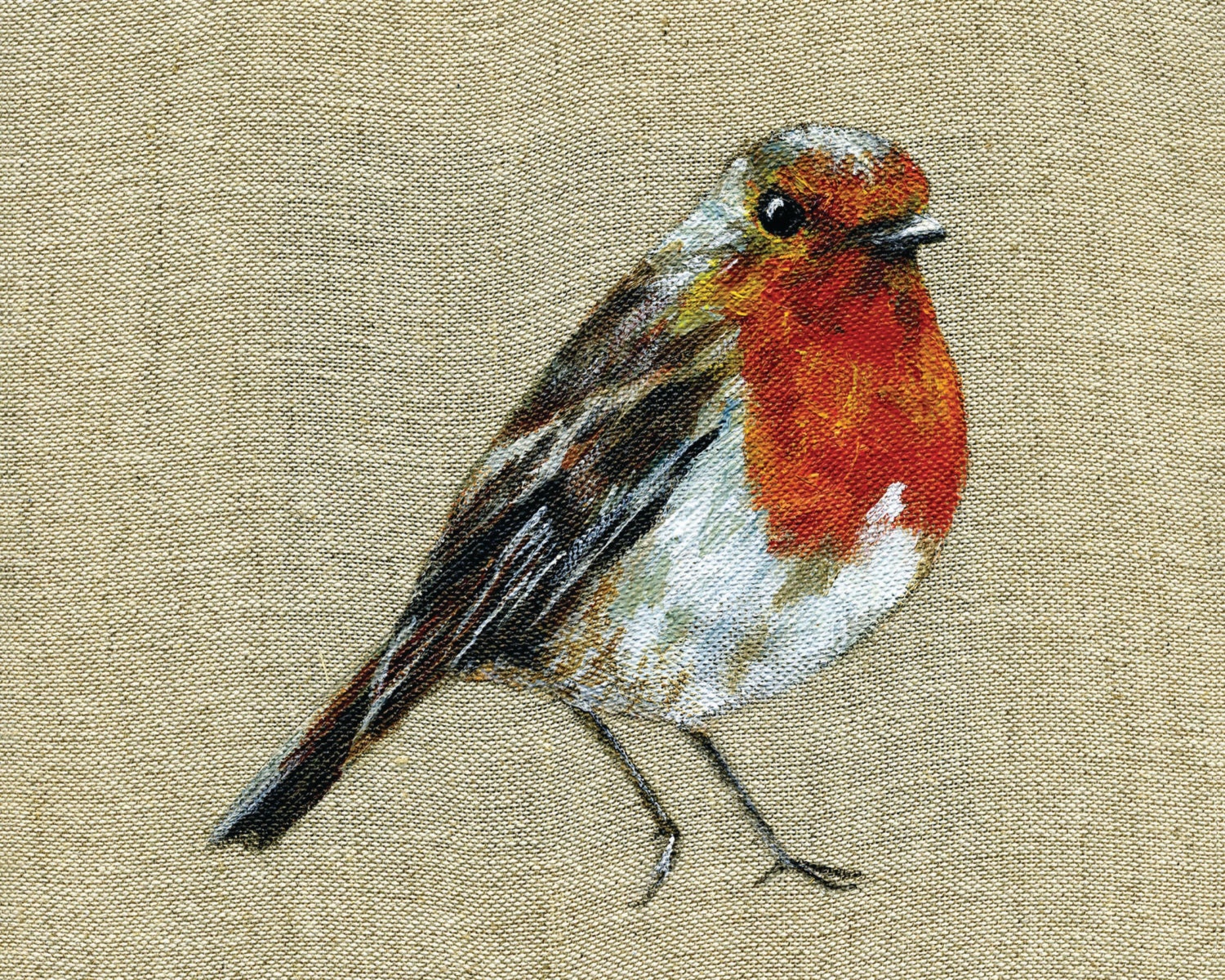 Robin Red Breast - Print of Original Painting on Irish Linen.  8x10 inches Art Print Bird Art Ireland