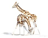 Archival Print of a Giraffes Watercolor Painting. Animal Painting Reproduction on High Quality paper.
