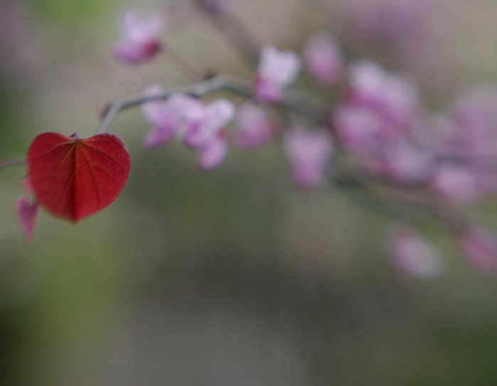 A Little Heart...
