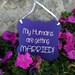 Photo Prop for Dogs -- Engagement Signs - Save the Date --- Custom Wood Wedding Signs -- Photo Prop