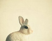 Nursery Art, Childrens Wall Art, Kids Decor, Still Life Photography, Animal Wall Art, Rabbit Nursery - Bunny Hop