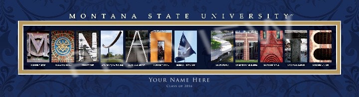 Personalized Montana State University Framed Letter Art Print - Customized College Print - NCAA-CLA