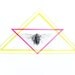 Cicada - 8" x 8" Print - Original Illustration - Pencil Drawing - Insect - Triangle - Neon - Modern - Realism - Geometric - Bug