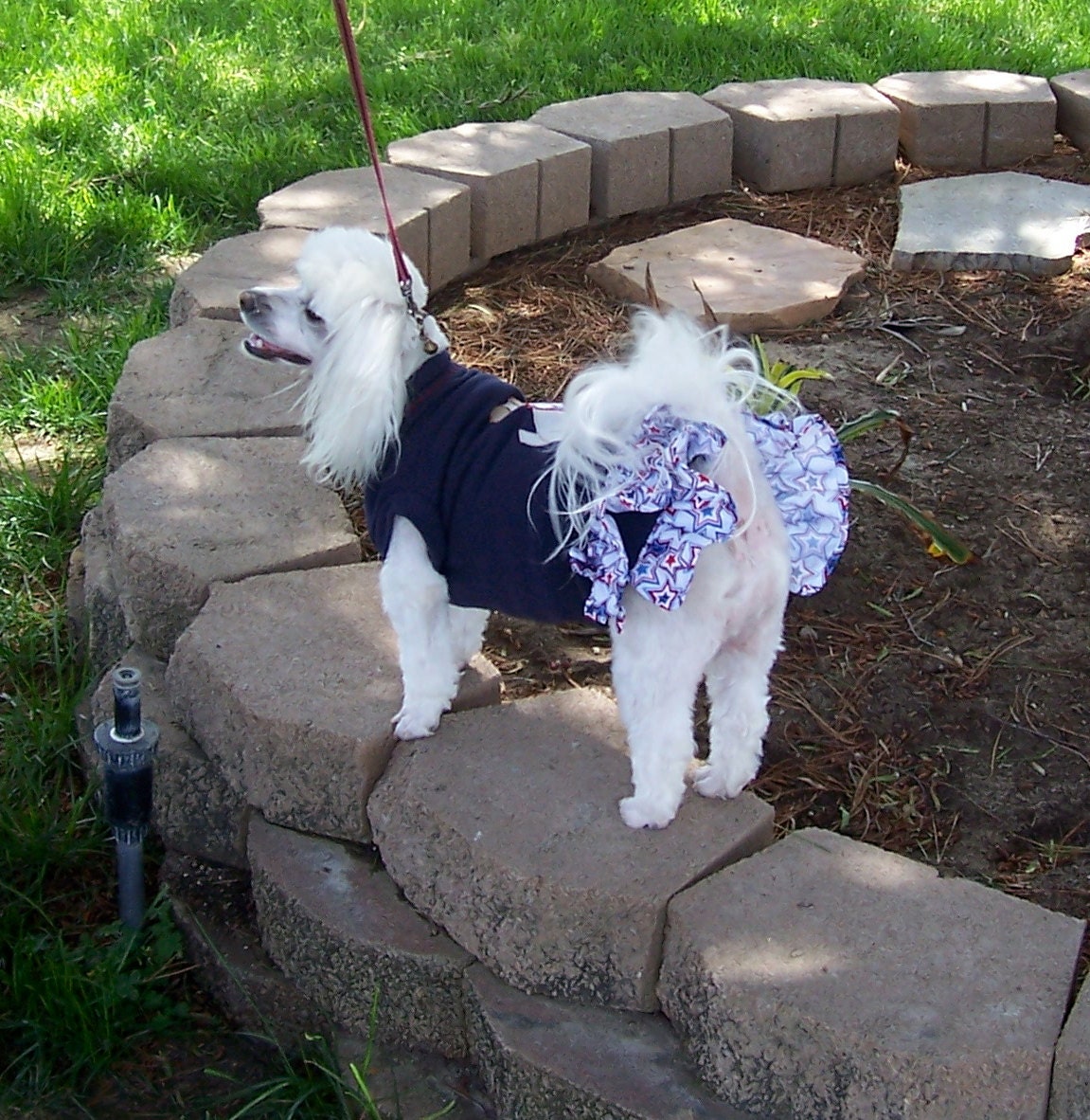 Dog dress handmade of soft stretch knit