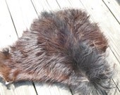 Spanish Goat hide