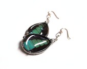 Real Butterfly Dangle Earrings: Graphium in Aqua Teal Blue and Black