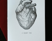 Anatomy heart - I heart you card
