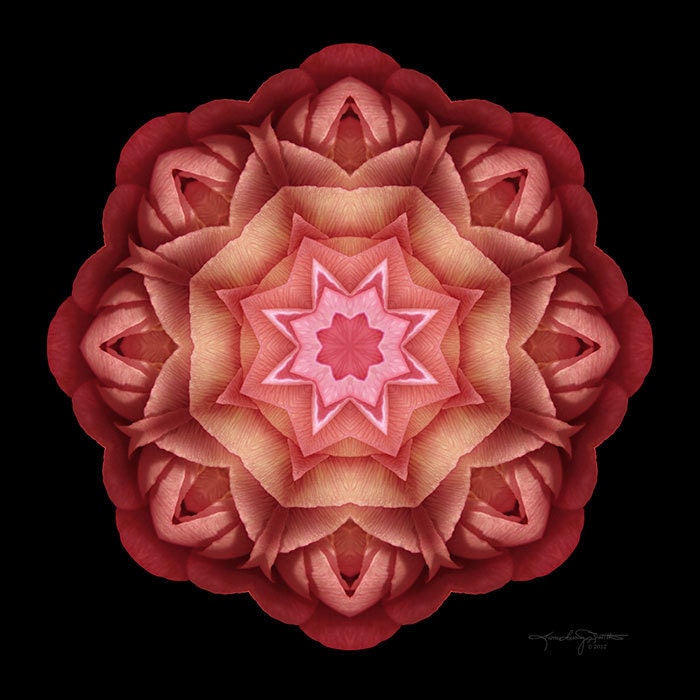 Ranunculus Love Flower Mandala - Ever Expanding Heart