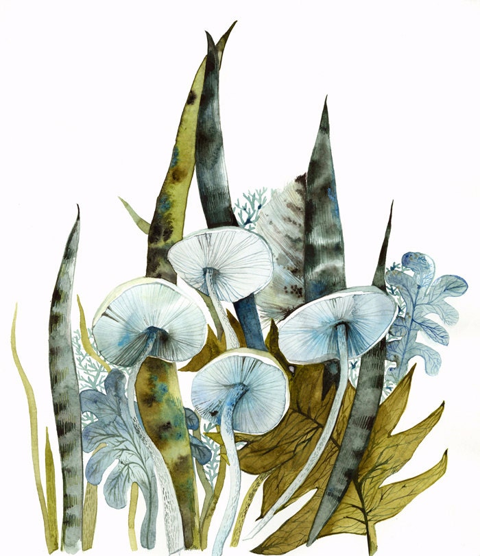 botanical art-mushrooms,spring -cottage decor-modern-"Woodland" large archival print of original painting, contemporary botanical