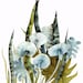 botanical art-mushrooms,spring -cottage decor-modern-"Woodland" large archival print of original painting, contemporary botanical