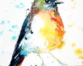 Spring Robin ACEO colourful watercolor bird art print DeKoning