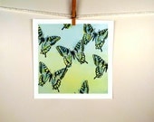Butterfly Watercolor Painting Print - Butterflies, Animal, Nature, Woodlands, Lemon Zest, Emerald Green, Tender shoots - ACEO to 12 x 12