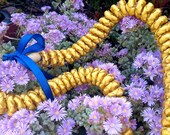 Shampoo Ginger Ribbon Lei