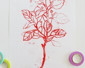 Botanical transfer monotype, original print